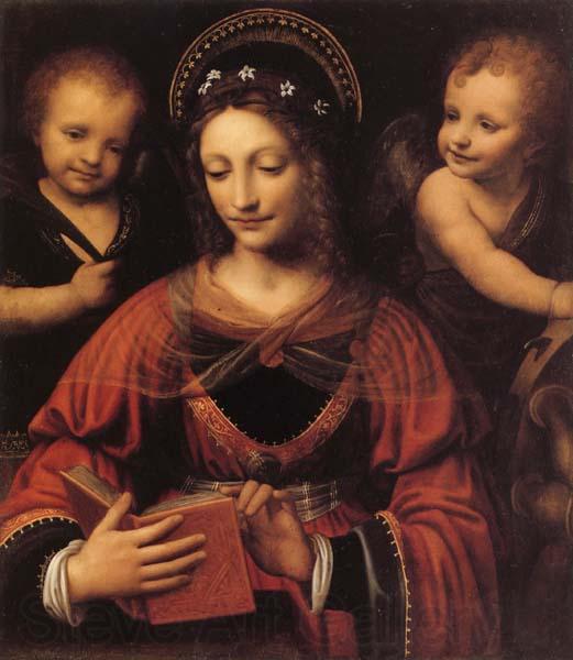 LUINI, Bernardino St.Catherine Spain oil painting art
